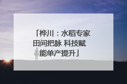 桦川：水稻专家田间把脉 科技赋能单产提升